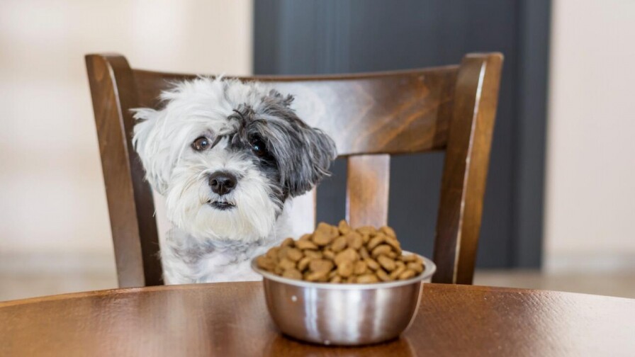 Ração Origens Yorkshire Maltês Spitz Cães Adultos 3kg