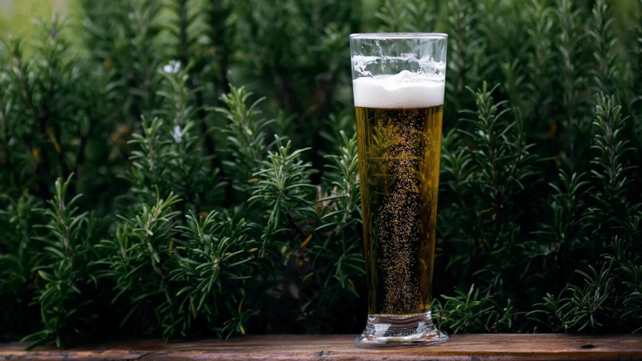 Capa do artigo Principais tipos de cerveja para degustar e molhar a garganta