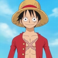 Oferta encontrada por Monkey D Luffy